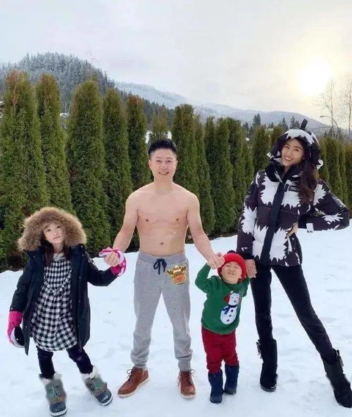 叶开培养攻略与阵容搭配指南:大掌门视角 3