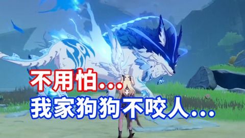 打造顶尖原神皇女:全面培养攻略 4