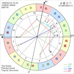揭秘《准了》APP:轻松掌握星盘解读技巧 3