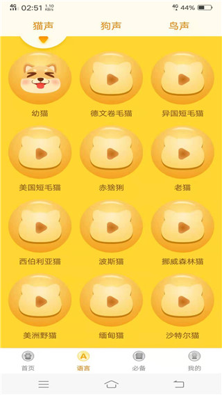 动物翻译器免费不用登录 截图3