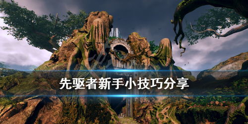 《荒野国度》新手必备:快速上手的小知识秘籍 1