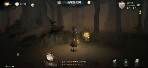 哈利波特:探索禁林必备的高效卡组推荐! 4