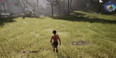 《荒野起源》大厅的进入指南 1