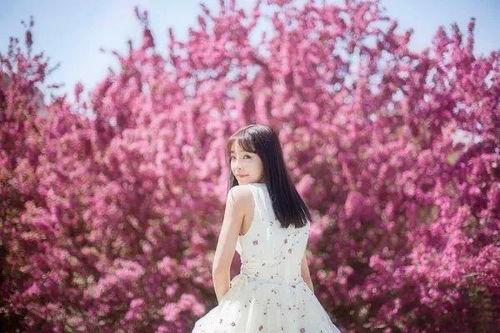 《无限暖暖》花海美照速成秘籍！