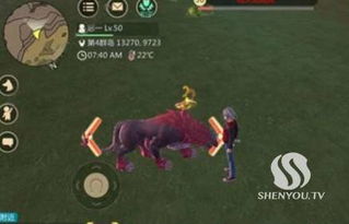 《创造与魔法》金燕逸舞坐骑:炫酷登场,详细介绍一览 1