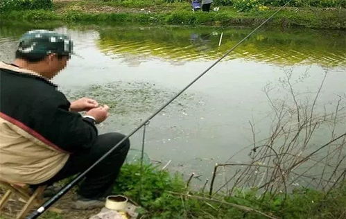 《燕云十六声》新手必备:超实用钓鱼技巧大揭秘! 1