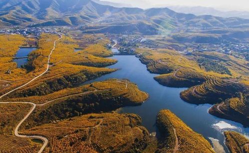 如何轻松关闭《小鲜木鱼》的个性化推荐功能 2