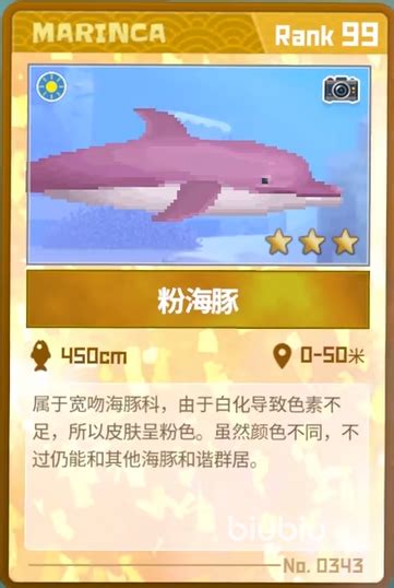 《潜水员戴夫》：粉海豚摄影小窍门 4