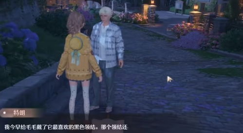 《无限暖暖》汪汪毛线失踪事件:全面任务攻略大揭秘 3