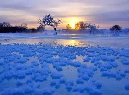 《梦境食旅》中如何获得星月红毯? 1