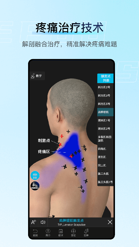 解剖大师免费版 截图3
