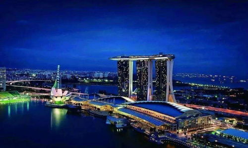 《七日世界》离岸广场超全探索秘籍,速来! 2