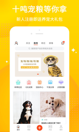 犬易app 1