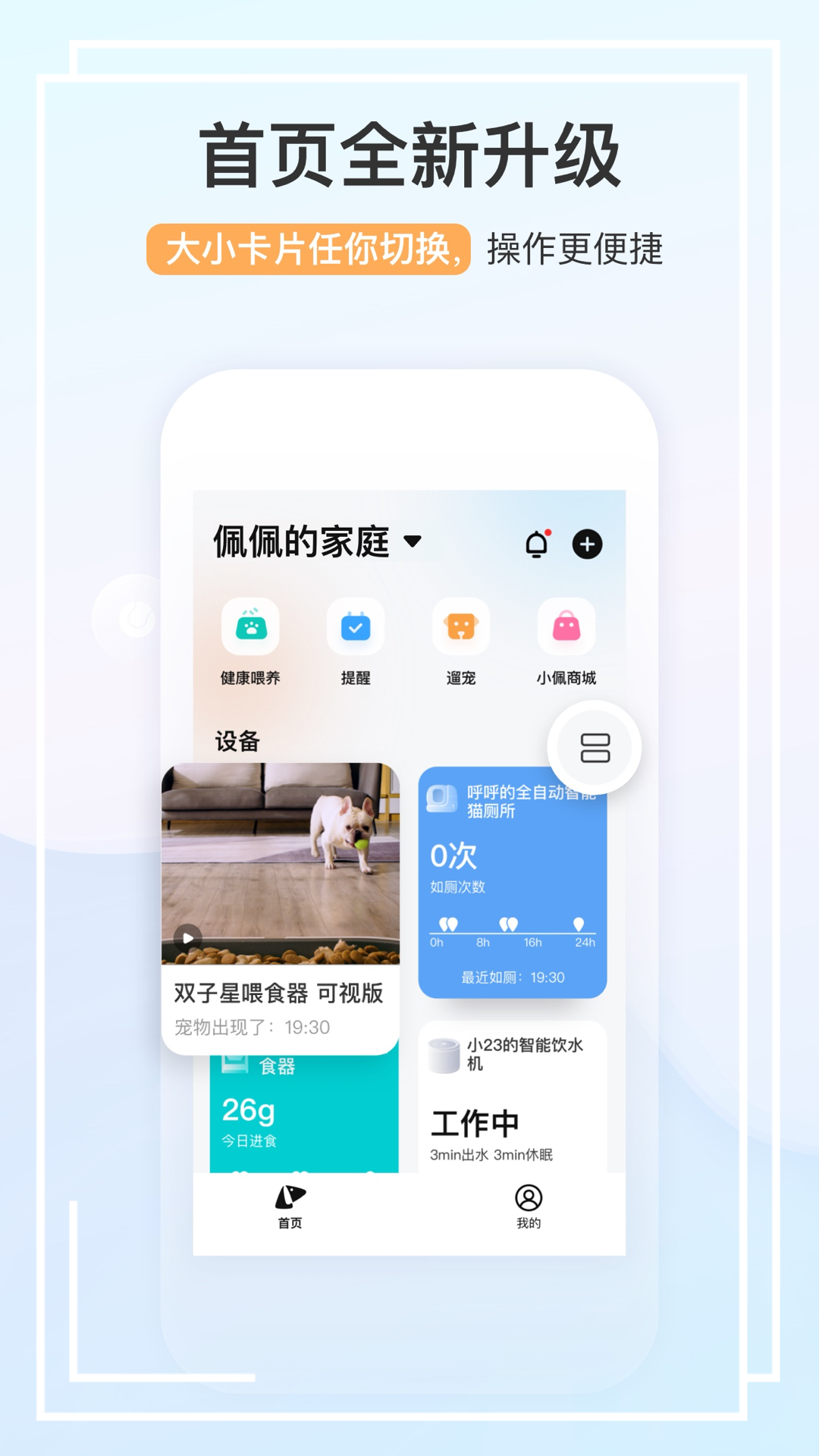 小佩宠物智能养宠 截图3