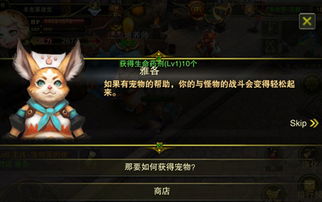 《最终幻想14:水晶世界》中如何获得猫头小鹰宠物? 3