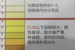 如何轻松查看《喝水时间》打卡记录 1