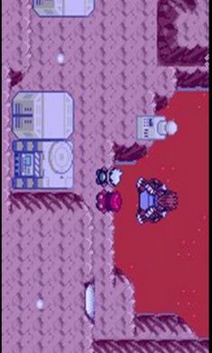 口袋妖怪绿宝石随机版 截图4