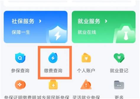 轻松指南：如何在《湖南智慧人社》打印参保证明及缴费明细 2