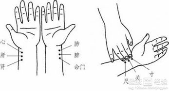 古时孕期特有的滑脉感受究竟如何 2
