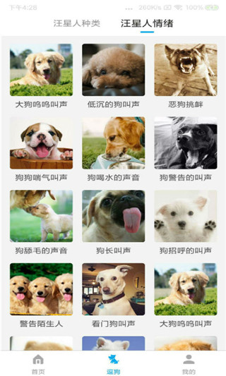 动物翻译器免费不用登录 截图4