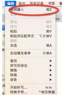 《Safari浏览器关闭操作指南》 3