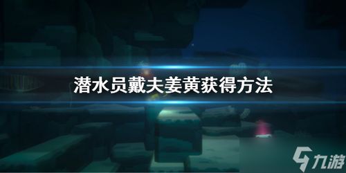 《潜水员戴夫》:全面解锁护符获取秘籍大汇总 2