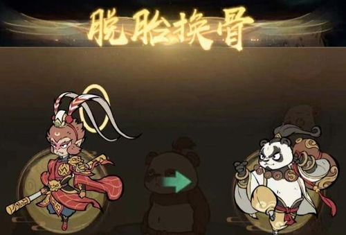 《寻道大千》中如何获取熊猫团团？ 3