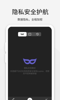 乐感浏览器网页版 截图4