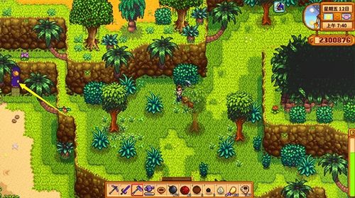 《星露谷物语》全攻略:高效获取铜矿的方法 1