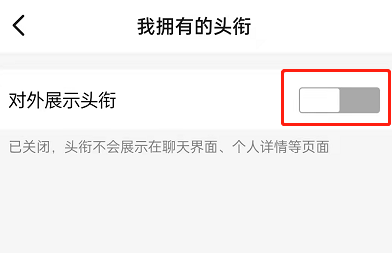 钉钉怎么关闭头衔展示 取消头衔对外展示教程分享 6