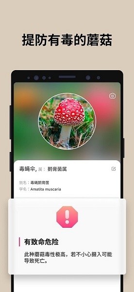 蘑菇识别扫一扫最新版 截图2