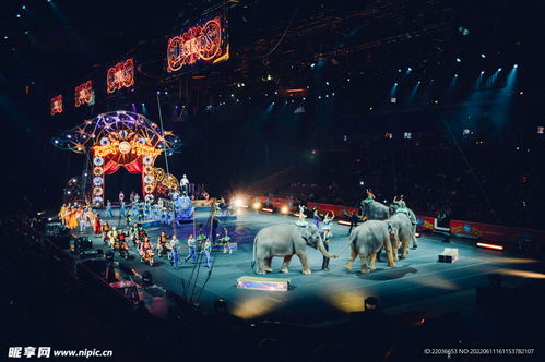 《万象马戏团》中猎梦马戏师尤妮是谁? 4