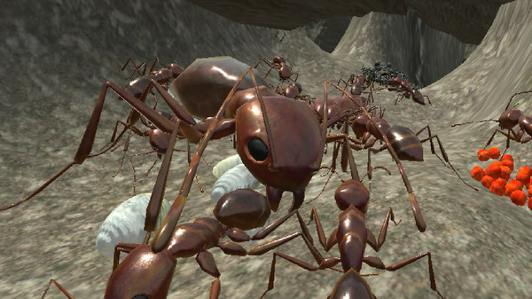 蚂蚁模拟3D 1