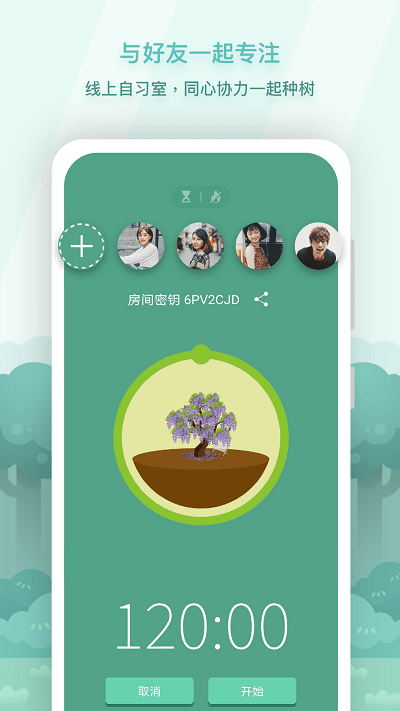 forest专注森林正版 截图2