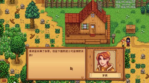 星露谷物语：寻找完美伴侣，谁才是你的最佳结婚选择？ 1