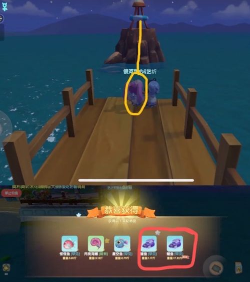 《摩尔庄园》霓裳鱼出现地点指南 2