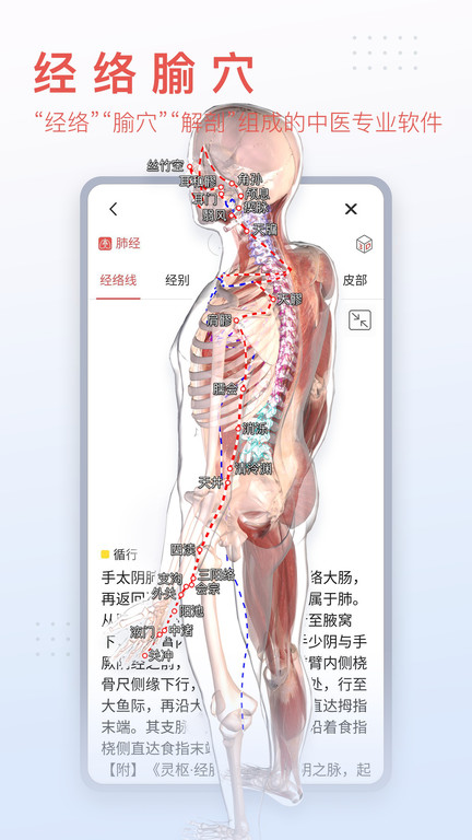 3d人体模型app 截图2