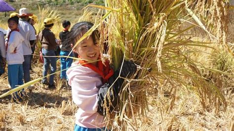 如何轻松设置《一亩田》的地区信息 1