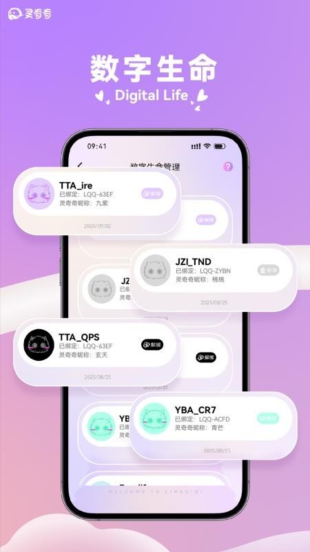 灵奇奇 1