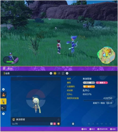 《宝可梦：朱紫》中如何高效捕捉迷人美洛耶塔秘籍 4