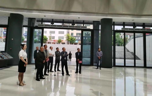 《扶摇一梦》：打造梦幻宠物的独家培养秘籍 2