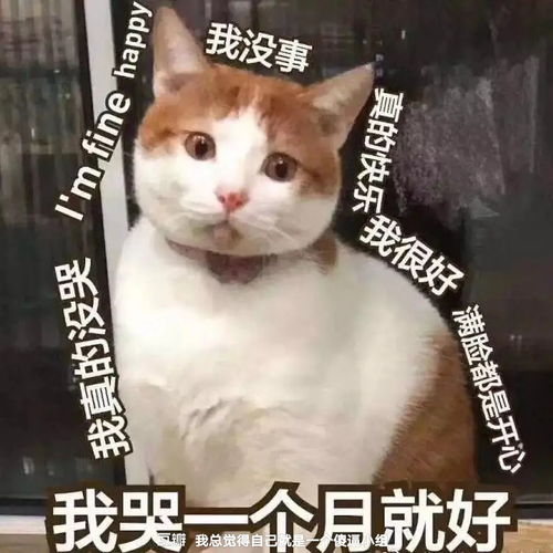 《就我眼神好》歌曲“我爱你”如何通关？ 3
