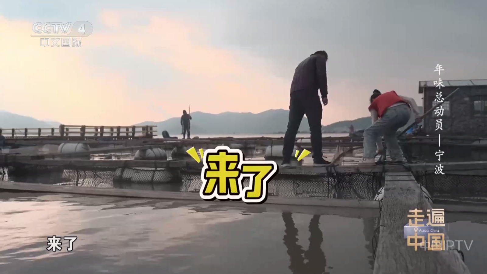 正版网络电视TV 1