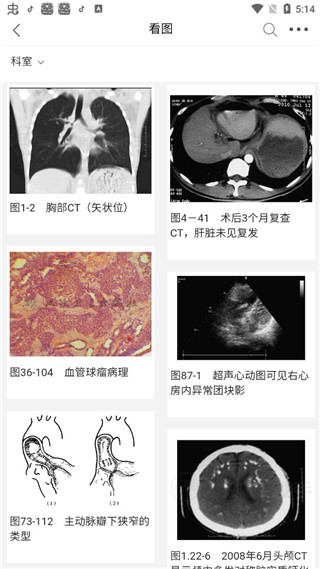 人衛(wèi)臨床助手 截圖2