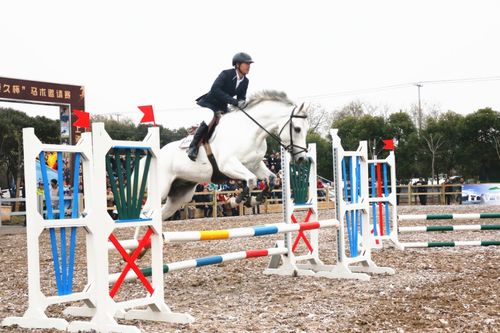 《如何连接《马拉马拉》中的运动设备》 1