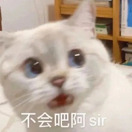 《在〈遇见你的猫〉中更换服装的方法》 2