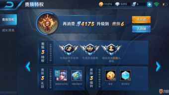 《王者荣耀》V11贵族等级充值金额详解 4