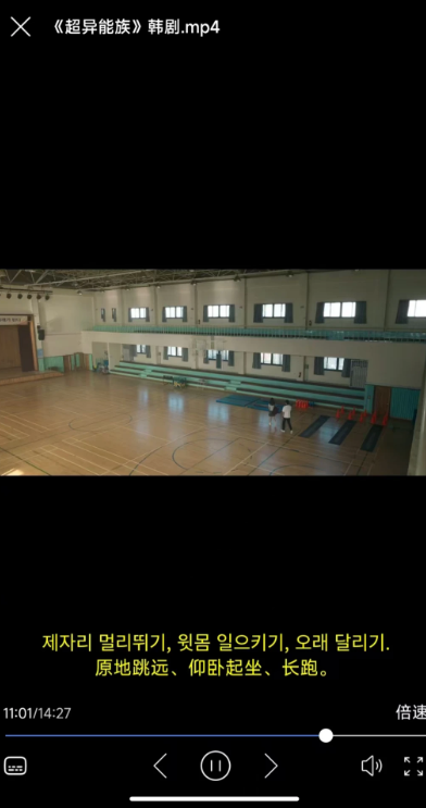 X字幕免费版 截图3