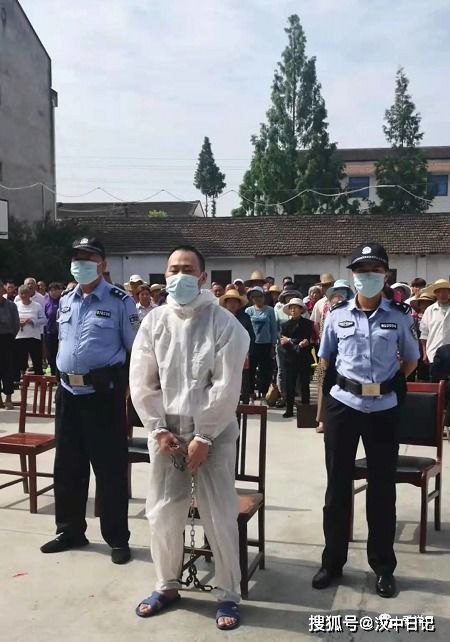 如何在迷失岛2中正确使用蓝莓?使用后竟会引发什么奇妙变化? 4