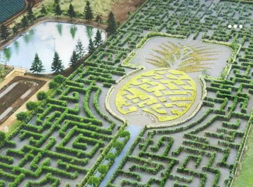 《露玛岛》农场矿洞太古书籍在哪里？